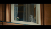 放映10年目を迎えるTVCM「窓と猫の物語」シリーズ　新CMを11月28日から放映