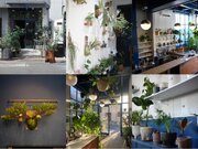 ”観葉植物とアート”をコンセプトにした「le bois Art Plants」InstagramがOPEN