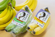 京都市同志社女子大学「食品開発プロジェクト」『同女美人バナナ　いろは／あおば』販売促進イベントを実施
