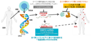 新規siRNA創薬の実現に挑むANRis社に早稲田大学ベンチャーズ（WUV）が２億円の創業投資を実行
