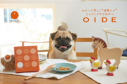 愛犬用エイジングケアおやつ『OIDE』ECサイトOPEN ＆ 寄付企画スタートのお知らせ