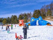 【富見高原スキー場】１２月１６日（土）から２０２３-２４ウィンターシーズンオープン予定！