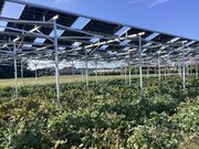 【アイモバイル、太陽光発電事業】静岡県掛川市にて新たに2基のソーラーシェアリング（営農型太陽光発電）の運営を開始
