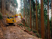 株式会社トビムシが休眠預金1億5700万円を活用する資金分配団体に採択。林業六次産業化による森林活用を実現する企業・団体を支援。2024年2月9日まで実行団体を募集中