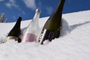 世界有数の豪雪地で雪と共に日本酒を醸す津南醸造。日本酒3本を酒蔵に降り注ぐ雪で覆い包んで贈る郷雪セット。2023年12月の初雪とともに発売開始。