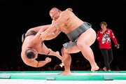 日本の「相撲」を世界の「SUMO」へ