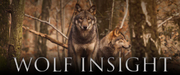 株式会社Pontely、ペットフード「Wolf Insight(TM)」事業譲受に関するお知らせ