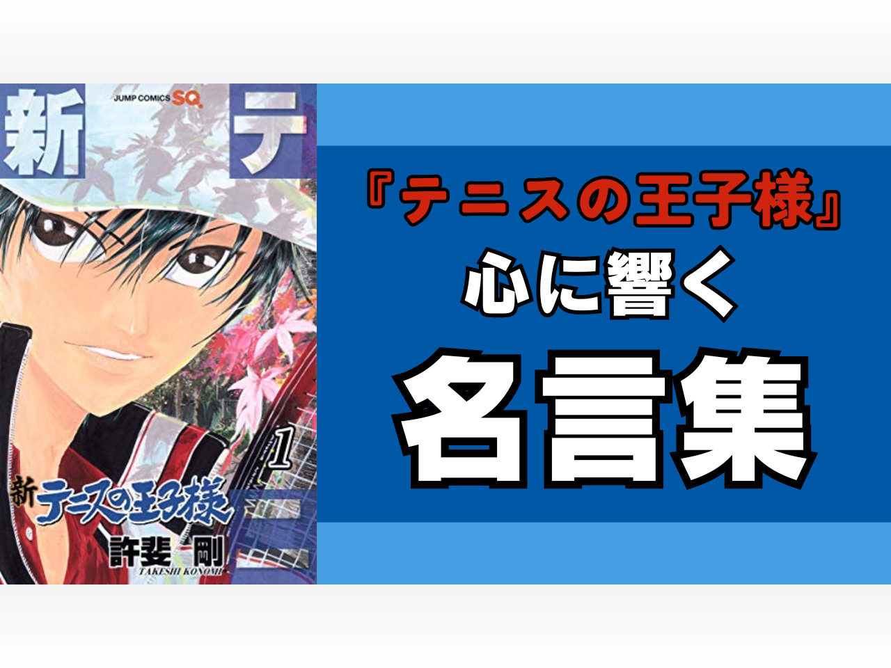 テニスの王子様 ぎゅっと!ドキドキサバイバル ソフト テニプリ 然様 テニスの王子様 ぎゅっと!ドキドキサバイバル ソフト テニプリ 然様