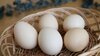 画像：多くの人が「卵はひとつのカゴに盛るな」の意味を勘違いしていた…「この資産は必ず守るべき」と思うあなたが必ずすべきこと