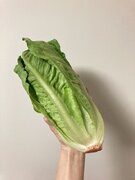 にんにく香るチーズ風味のもっちり食感「明太チーズカルボ風まぜ にんにく香るチーズ風味のもっちり食感「明太チーズカルボ風まぜ