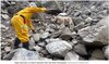 画像：大地震が台湾を直撃後、瓦礫が積み重なった危険な現場に立ち入り、ハンドラーとともに救助活動を行う災害救助犬のロジャー（『CNN　「Roger, overly …