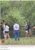 画像：木の上に子グマを見つけた人々。無理やり子グマを抱き上げ、記念撮影のためにカメラの前でポーズをとっていた（『New York Post　「Group snatches bear cu…