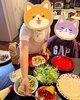 画像： みきママ、子ども達のお泊まり会＆誕生日パーティーのために作った料理「真似したい」「凄すぎる」の声