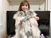 画像：タレントの中川翔子さんは5月7日、自身のXを更新。愛猫とのスリーショットを公開しました。（サムネイル画像出典：中川翔子さん公式Xより）