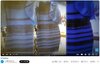 画像：「ドレスは青と黒か、白か金か」バズった家族の悲惨なその後　妻への殺人未遂で夫逮捕...容疑認める