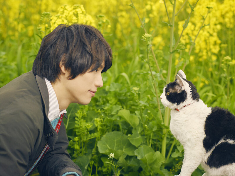 画像：福士蒼汰『旅猫リポート』、第22回ファンタジア国際映画祭にてワールドプレミア上映が決定