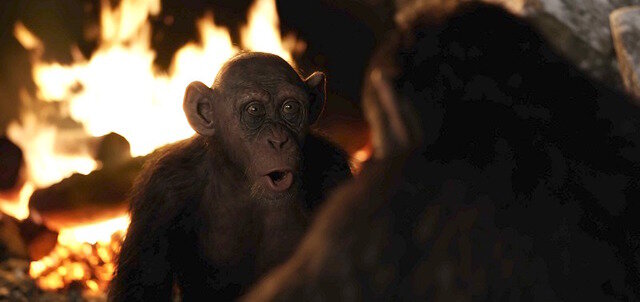 画像：『猿の惑星：聖戦記(グレート・ウォー)』（C）2017 Twentieth Century Fox Film Corporation