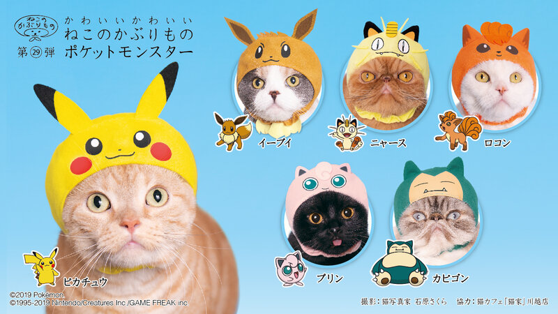 ピカチュウ や イーブイ に変身にゃ 猫専用のかぶりものに ポケットモンスター が新登場 18年12月18日 Biglobeニュース