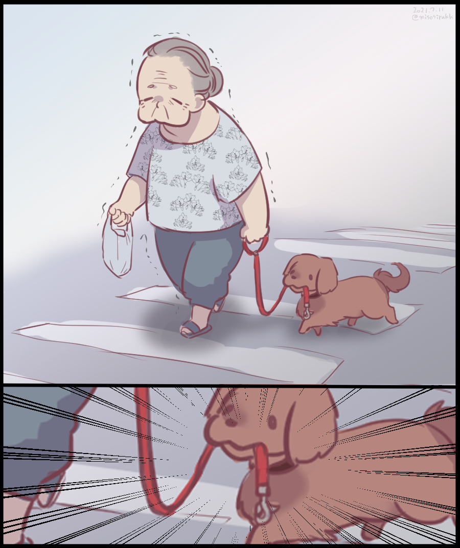 おばあさんと外れたリードをくわえて散歩する犬