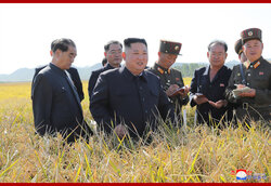 話題-凶作続きの北朝鮮農業、打開策は「ホラ防止法」