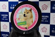 世界一有名な柴犬「かぼすちゃん」のマンホールが千葉県佐倉市に設置 - ネット「日本一可愛いマンホール」