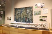 ガードレール・まんじゅう・リトマス紙の共通点とは一体？　茨城県自然博物館の企画展が興味深い