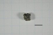 落下から200年、「八王子隕石」を研究機関が分析　八王子市民「隕石なんてあったんだ！」