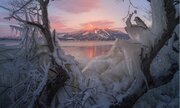 氷をまとった湖畔の木々と、朝焼けに染まる磐梯山... あまりにも芸術的な「福島の冬」にうっとり