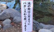 「池の鯉は三月までにバカンスから戻ってきます」　東京・愛宕神社の立て看板に「ためいき」出る人続出中