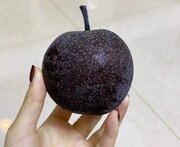 見た目は完全に「毒リンゴ」　中国北方で冬に食べられている「謎の果実」の正体は...