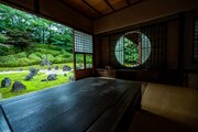 ここでゆったり過ごしたい...　京都・光明院の「緑巡り」に国内外から感嘆の声