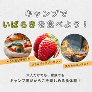 開催間近! 茨城県鉾田市で県産食材を味わうキャンプイベント開催