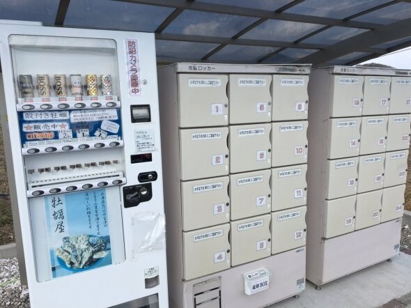 画像：ロッカーを開けて、牡蠣をゲット！　兵庫県の「活カキ自販機」が生まれた理由
