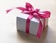 20歳を迎える娘へのプレゼント…何がいい？「記憶に残る贈り物をしたい」と悩む相談者にアドバイス続々