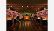 【3月1日（水）～開催】黄金の茶室桜色に染まるロビーが圧巻　名古屋観光ホテルで一足早いお花見気分の『桜フェア』