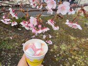 東京は7店舗限定！ローソンのマチカフェプラスで買える「桜ラテ」にうっとりしちゃって