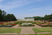 春の一日を植物園で楽しもう　『植物園のガーデンピクニック at 神代植物公園』を開催