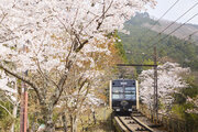 京都の叡山ケーブル・ロープウェイが3月20日に運転スタート　先着2000人に手ぬぐいプレゼントも