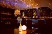 桜カクテルや夜桜イルミネーションが楽しめるイベント　吉祥寺の「夜カフェ SUN Tama Bar」で3月31日まで開催