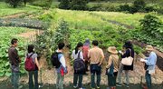 岡山県真庭市が人材育成塾「真庭なりわい塾」の第８期生募集　里山で新たなライフスタイルを模索