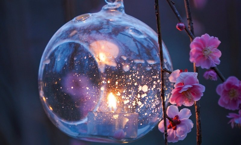 夜空に浮かぶ星みたい 蝋燭と梅の花のツーショットにうっとり 神秘的です めっちゃ綺麗 22年3月26日 Biglobeニュース