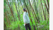 【オリジナルMAP付き宿泊プランを販売】箱根・芦ノ湖 はなをり箱根の自然を楽しく散策、芦ノ湖畔