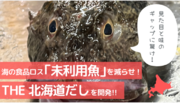 【北海道発 未利用魚活用、漁師とタッグを組んだプロジェクトスタート！】別名「なべこわし」と言われるほど美味しい高級魚をだしに！