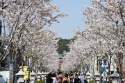 桜の季節におすすめ！ 鎌倉の人気観光名所を1日で巡るモデルコース