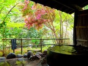 温泉桜で最高のお花見を。日本一の温泉県・大分で楽しめる「お花見湯スポット」4選