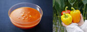 生産量日本一！宮城県産パプリカを冷製スープで堪能　「三種のパプリカ香るガスパチョ」を5月30日より数量限定発売