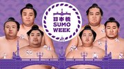 日本橋に親方・力士がやってくる「相撲フェス」開催! 相撲健康体操やフォトスポット、大盛りグルメも