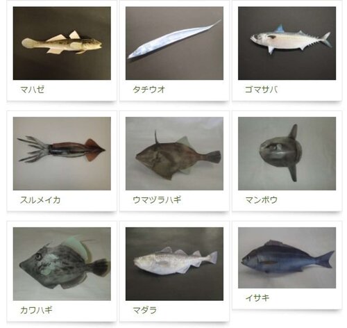 GWのおうち時間に「おさかなペーパークラフト」はいかが GWのおうち時間に「おさかなペーパークラフト」はいかが