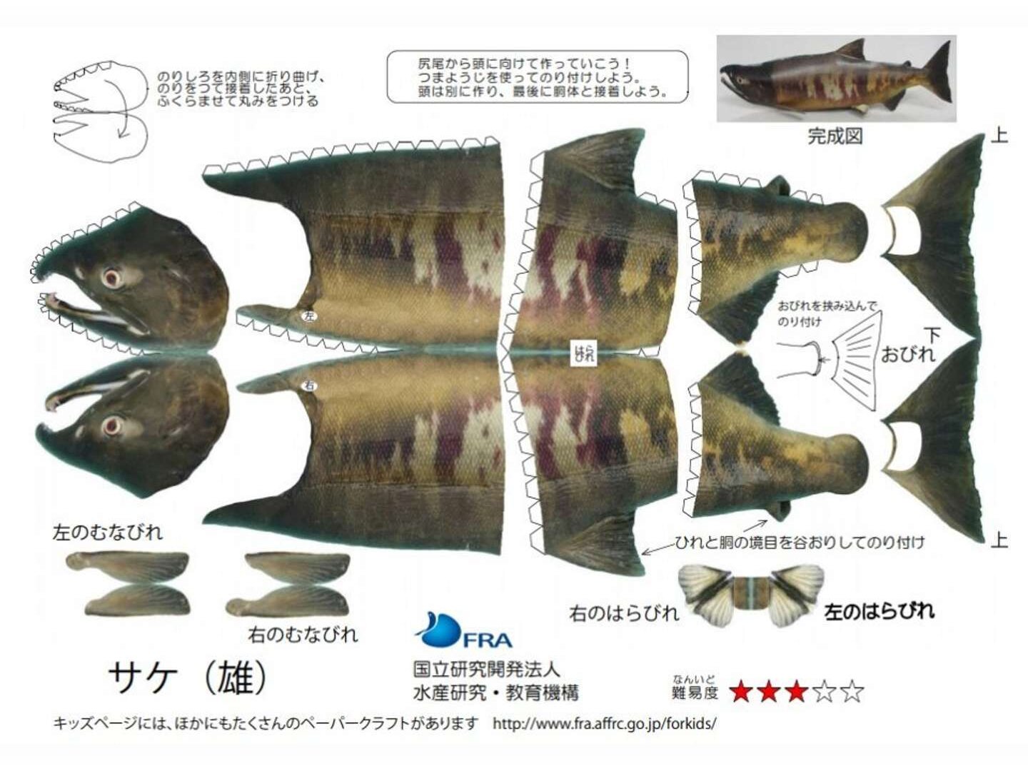 GWのおうち時間に「おさかなペーパークラフト」はいかが GWのおうち時間に「おさかなペーパークラフト」はいかが