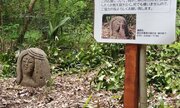 公園管理者も「見たことなかった」　茂みの中から出現した「謎の石像」が話題にその正体を突き止めてみた！